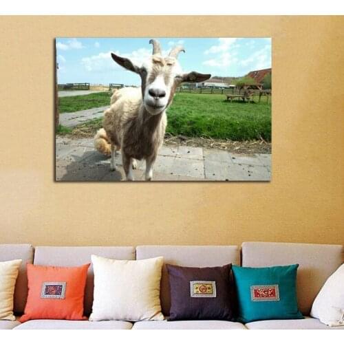Cute Goat Animal Canvas Wall Art Picture HD Print Painting Modern Living Room Unframed