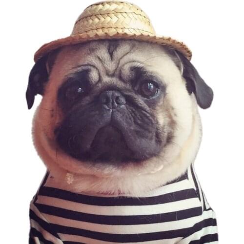 Summer Hawaiian Style Pet Dog Cap Small Pet Straw Hat Outdoor Sunbonnet Cap Photo Props Pet Sombrero Accessories Drop Ship