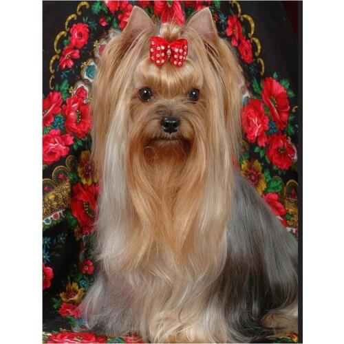 Diamond Embroidery,Animal,Yorkshire Terrier Dog Diamond Painting,Cross Stitch,Diamond Mosaic,Needlework,cute puppy hobby gift