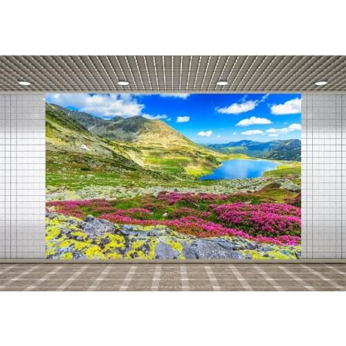 Lyavshi Spring Natural Scenery Landscape Mountain Sky Cloud Flower Photography Background Photocall Backdrop Photo Studio Props