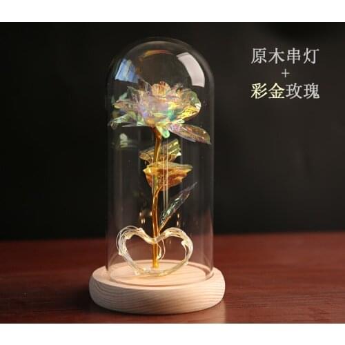 Everlasting Flower Glass Cover Gold Foil Rose Flower Decoration Valentines Day Gift Christmas Gift LED Copper String Lampshade