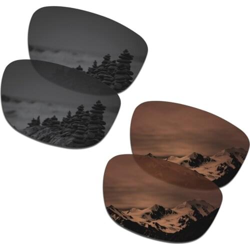 SmartVLT 2 Pairs Polarized Sunglasses Replacement Lenses for Oakley Holbrook R Stealth Black and Amber Brown