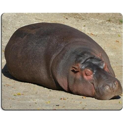 Mouse pad gaming mouse pad Fish Pond Natural Rubber Material PN00X14181
