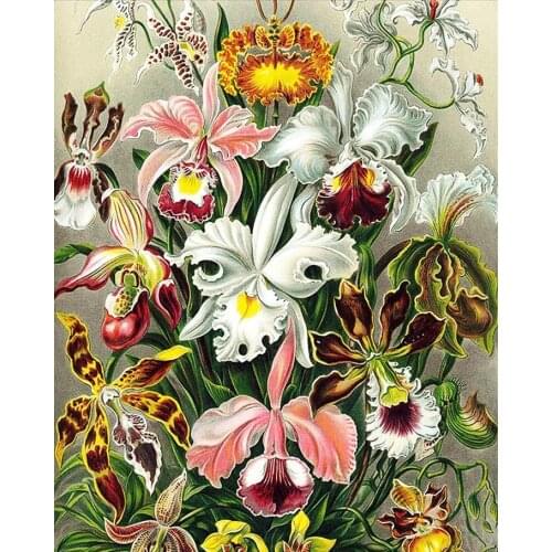 JMINE Div 5D Orchid flower Full Diamond Painting cross stitch kits art High Quality Floral 3D paint by diamonds