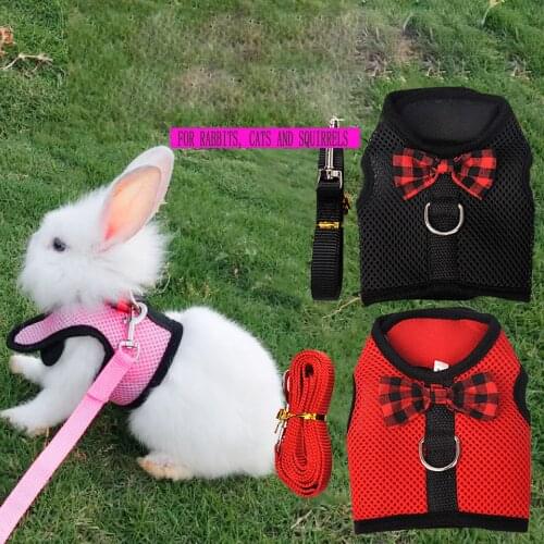 Small Pet Leash New Pet Leash Cute Rabbit Leash Underwear Style Breathable Mesh Chest Strap Pet Accessories Rabbit Accessories