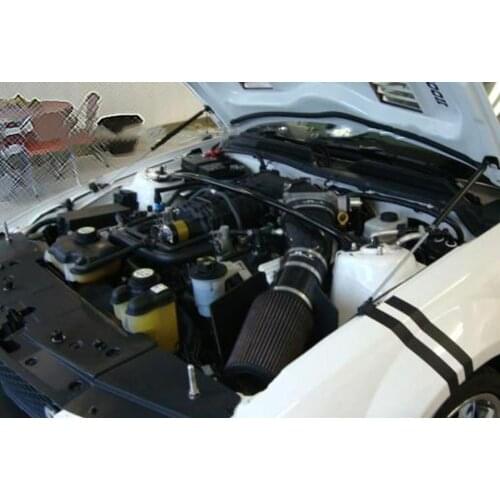 Front Hood Bonnet Gas Struts Lift Support Shock Damper Carbon Fiber For 2005-2009 Ford Mustang GT CS