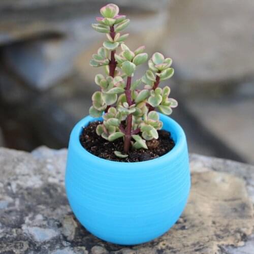 Korean Innovative Rainbow Stone Plastic Self - Water Round Lazy Flowerpot Home Decoration