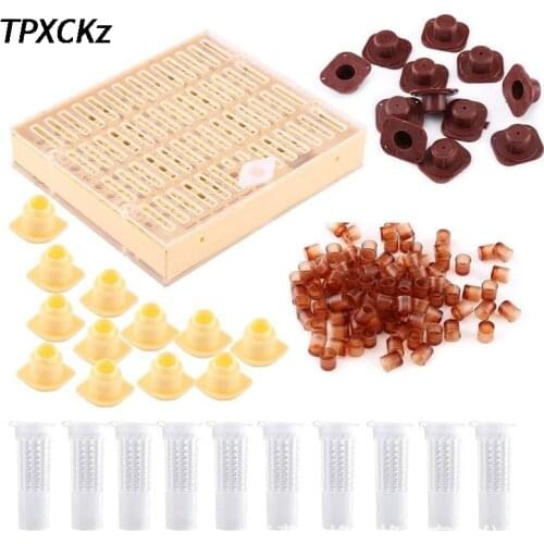 Beekeeping Tools Equipment Set Queen Rearing Cultivate Box Kit Queen Cage