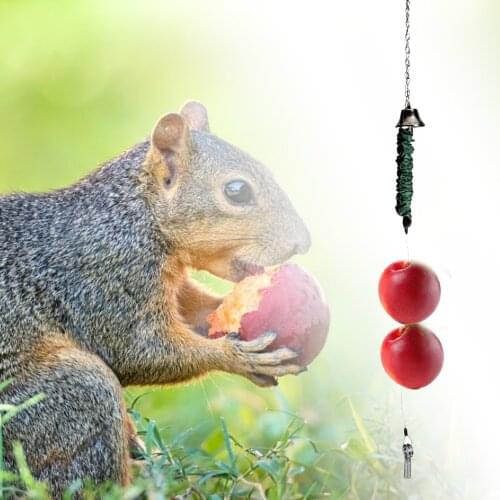 2021 Outdoor Bird Feeder Toy Squirrel Chicken Fruit Vegetable Rack Stainless Steel Feeder Chicken Duck Parrot Squirrel