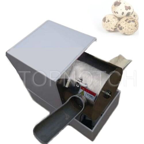 Multifunctional Washing Chicken Eggs Cleaning Machine Egg Processing Equipment Egg Washing Machine