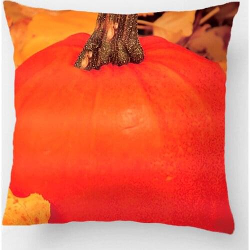 Orange Pumpkin On A Golden Autumn Day Throw Pillow Case Decorative Cushion Cover Pillowcase Customize Gift By Lvsure For Seat