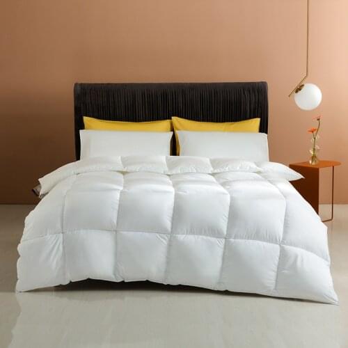 Comfortable Cotton Quilt Thickened Warm Hotel Quilt Core White Duck Velvet Home Winter Quilt All Seasons Blanket Soft Bed Cover