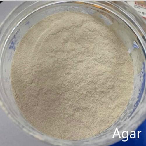 100 g 98.6% Instant Agar Powder Bacterial Yeast Gelatin Powder Premium Agar