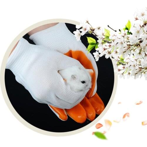 Small Pets Bite-proof Gloves Smash-proof Hand Protection Gloves Anti Bite from Hamster Rabbit Chinchillas Guinea Pig