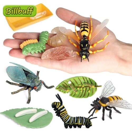 2021 Simulation Animal Growth Model Cycle ABS Wasp Butterfly Bee Figures Collection Cognition Educational Toys for Children Gift
