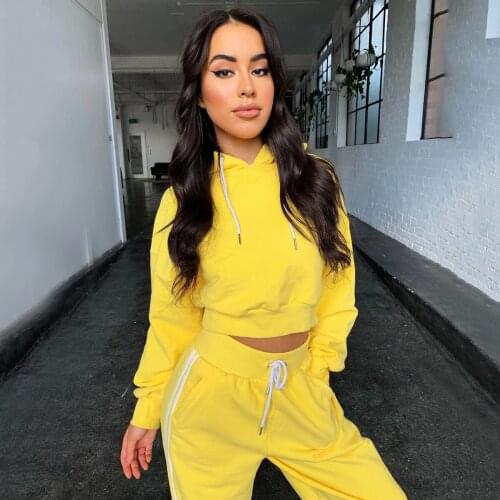 Hoodies Suit Winter Spring Solid Casual Tracksuit Women Velvet 2 Pieces Set Sports Sweatshirts Pullover Home Sweatpants Outfits