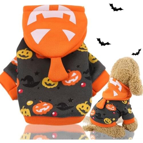 New Pumpkin Lantern Jack Funny Halloween into Costumes for Christmas Pet Clothes Autumn and Winter