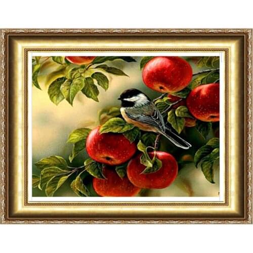New Arrival Diy Diamond Painting Bird On Apple Tree 40x30cm Square Diamond Embroidery Cross Stitch Rhinestone Mosaic Painting