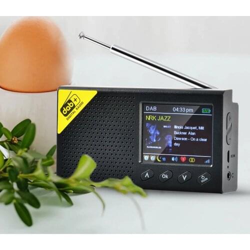DAB+ FM Radio, Portable DAB Radios Rechargeable Digital Radio with USB Charging (Black)