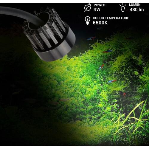 NICLUM LED Floodlights