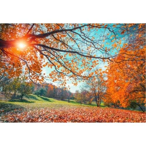 Autumn Landscape Maple Forest and Sun Backdrop Holiday Photography Background Celebration Photo Booth Studio Decor