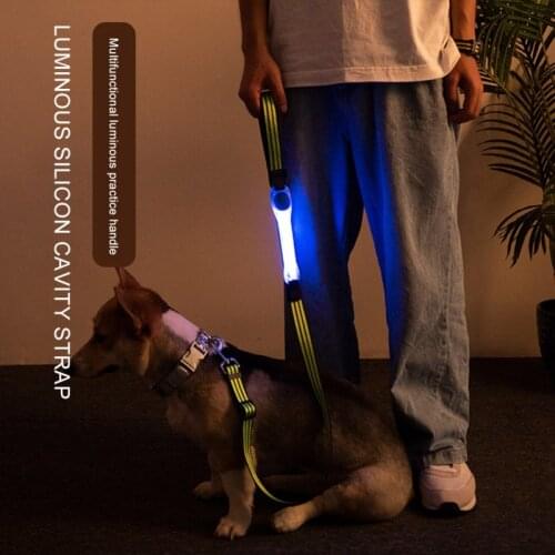 Pet Luminous Collar Dog Pet Collar Flashing USB LED Safety Light Up Led Pet Multi-function Traction Rope Collar #8