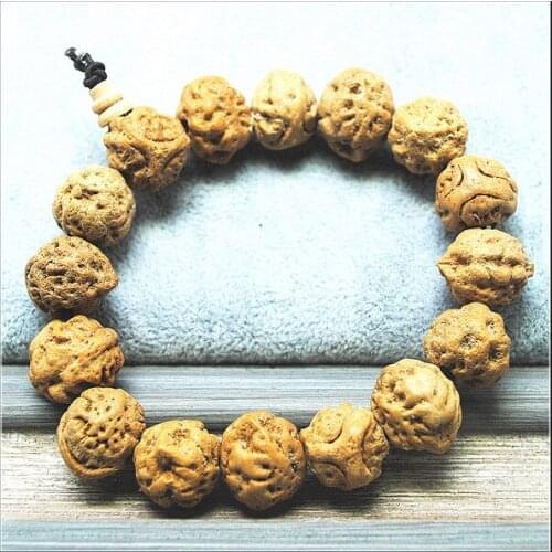 Nature plant nuts wooden bracelets plant seeds powerful bracelets nature beads nature colors men bracelets size 15mm