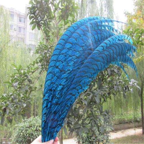 20pcs 32-36 inche/80-90cm Lake Blue Lady Amherst Pheasant Feather pheasant feathers for carnival party costumes decoration