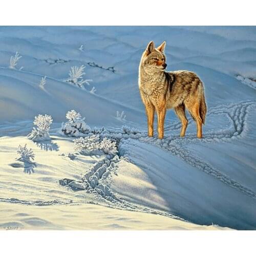 DIY Painting By Numbers Coyote Gods Dog Kit Oil Picture By Numbers Animals Wall Art Painting on Canvas Home Decoration Gift