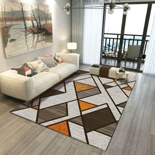 New Nordic style Carpets for Living Room Bedroom Sofa coffee table bedside Blanket Modern Household Rugs 3D Print Rug and Carpet