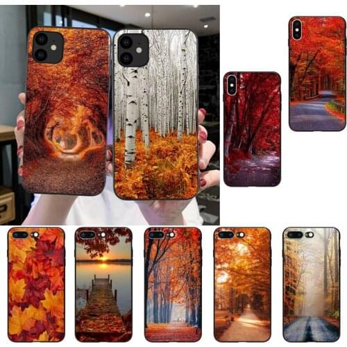Autumn Falling Leaves Maple Phone Case For iPhone SE2 11 Pro XS MAX XS XR 8 7 6 Plus 5 5S SE Case