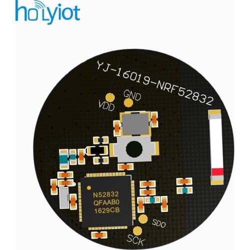 Holyiot Smart Electronics
