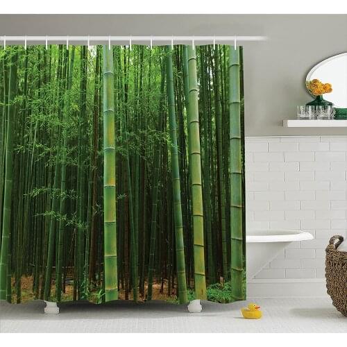 Bamboo Shower Curtain of A Bamboo Forest Exotic Fresh Jungle Vision with Tall Shoots Tropic Wonderland Print Bathroom Curtains