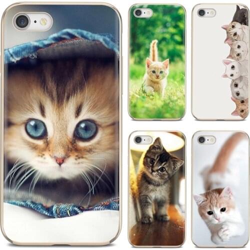 Six Siege Phone Cases Xiaomi Redmi 9T