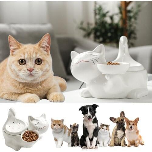 Ceramic Pet Fountain Advanced Cat Water Drinking Fountain Bowl with Replacement Filters and Foam for Cat and Dogs