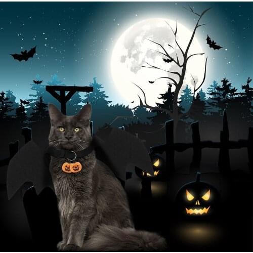 1PCS Pet Bat Wings for Dogs Cats Pet Funny Costume Bat Wings Halloween Costumes