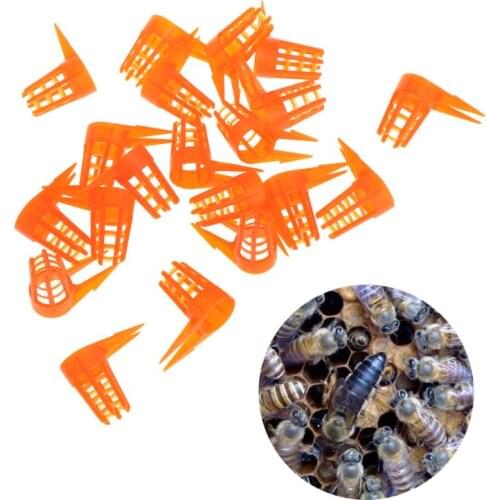 20 Pcs/Set Bee Queen Cap Protective Cell Cover Beekeeping Tools Beekeeper Equipment Plastic Cage Beekeeping Supplies C42