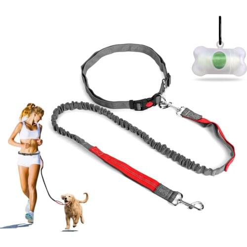 Adjustable Dog Leash Hands Free Leash for Running Walking Training Hiking Dual Handle Lead Shock Absorbing Bungee Dog Lead