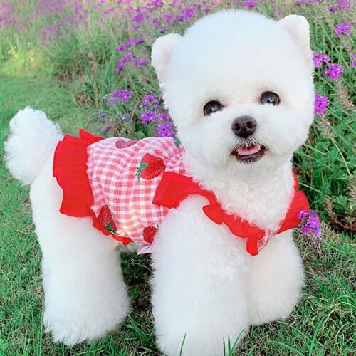 Spring Summer Dog T-shirt PuppyClothes Cat Shirt Chihuahua Yorkshire Pomeranian Shih Tzu Schnauzer Pug French Bulldog Clothing