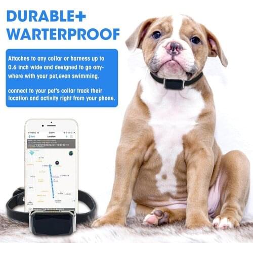 GPS Pet Cat Dog Collar Practical Anti-Lost IP67 Waterproof Tracer Waterproof Puppy Dog Mini Tracking Cat Dog Collar Pet Supplies