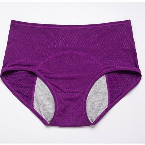Menstrual Briefs Large Size Leak Proof Incontinence Environmetal Underwear Period Panties High Warm Female Health Briefs