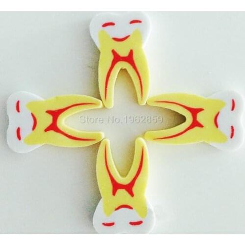 Dental Eraser Creative Teeth Type Gift Pencil Eraser Dental Clinic for Dentist Medical Lab Stationery Tooth Model Eraser