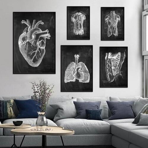 Human Anatomy Canvas Painting Vintage Poster Medical Skeleton Organ Muscular System Picture Body Education Artwork Home Decor