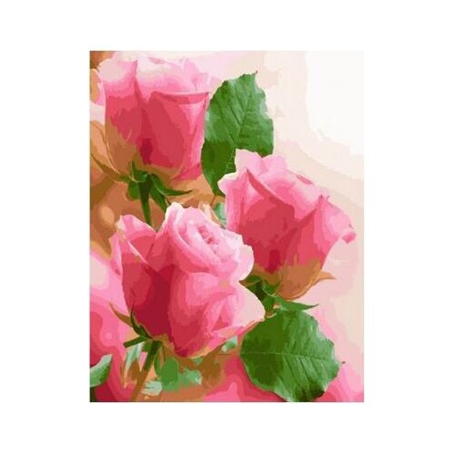 Pink rose Framed Flower DIY Painting By Numbers Painting & Calligraphy Canvas Painting Coloring By Numbers 40x50cm