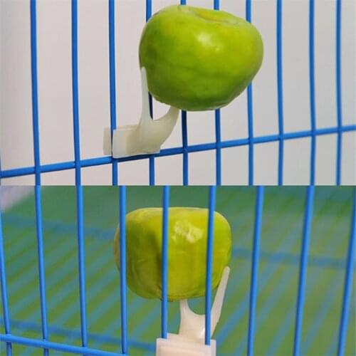 1PCS White Small Size Birds Parrots Feeder Fruit Fork Pet Parrot Set Install Cage Accessories Supplies Convenient Pet Device