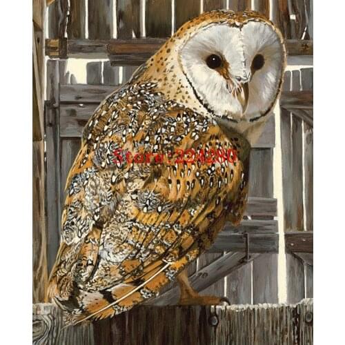 Owl Animal oil painting Art Needlework 14CT Canvas Unprinted Handmade Embroidery Cross Stitch Kits DIY Home Decor