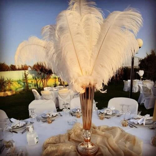 10Pcs/lot White Thin rod Ostrich Feathers Crafts Wedding Party Home Carnival Decoration Plumes 40-70CM/16-28 inches