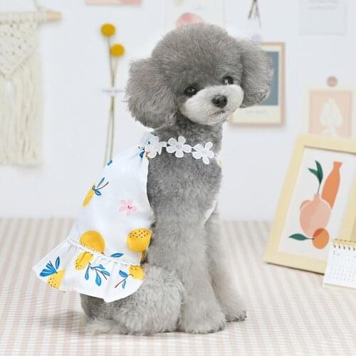 Summer Dog Camisole Dress Bayberry Printing Two-legged Cotton Ruffled Hem Sleeveless Skirt Summer платье для собак