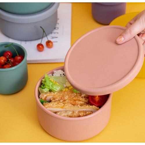 250ml/700ml Picnic Box Eco-friendly Large Capacity Silicone Fruit Storage Holder Box for Home