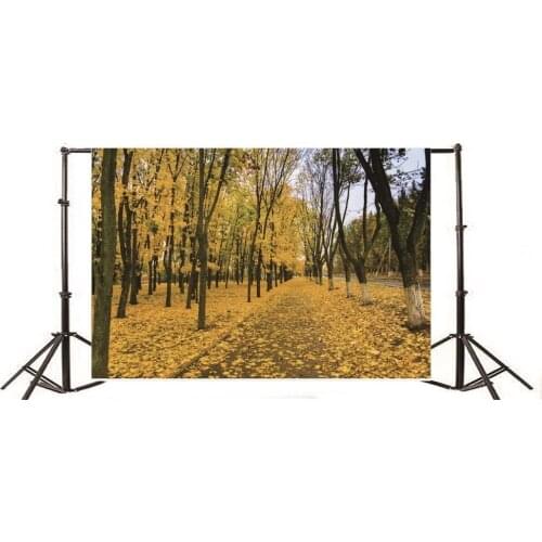 Photography Backdrop Autumn Golden Leaves Trees Nature Travel
